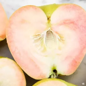 Apple 'Pink Pearl' Bareroot