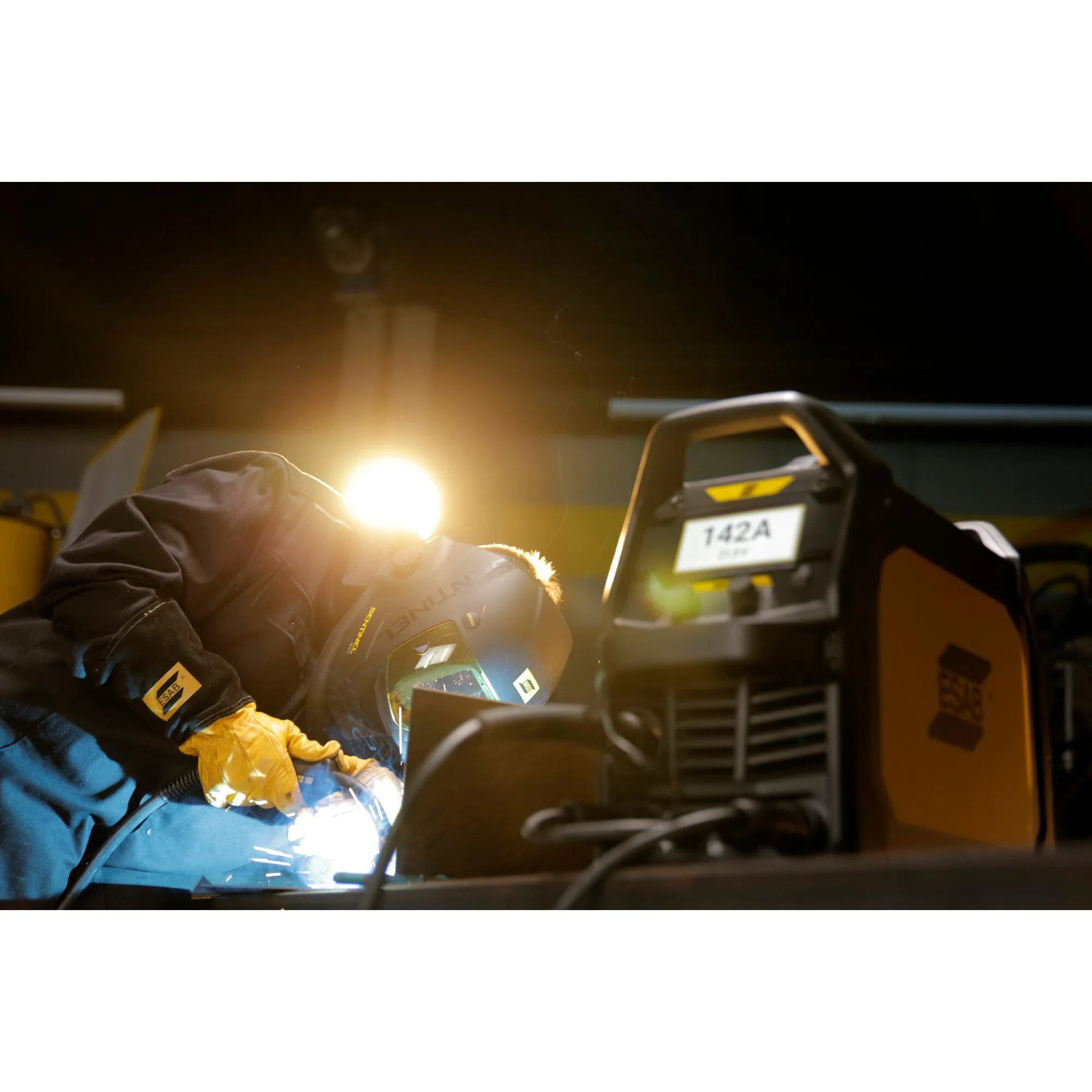 ESAB 0700301083 Rogue EM 190 MIG Welder, 230V