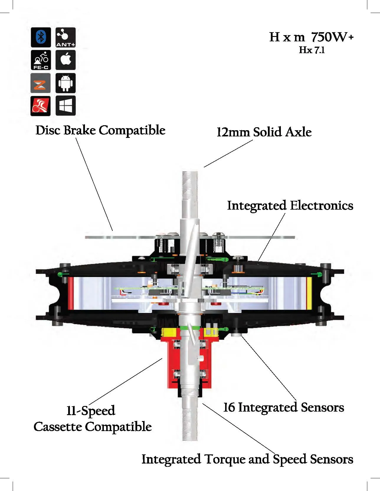 HX 750W Electric Bike Motor with Integrated Controller, Torque and Speed Sensors