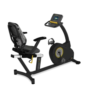 *Lifespan R5i Recumbent Bike – SALE!