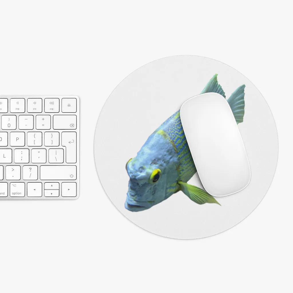 Light Blue Fish Mouse Pad