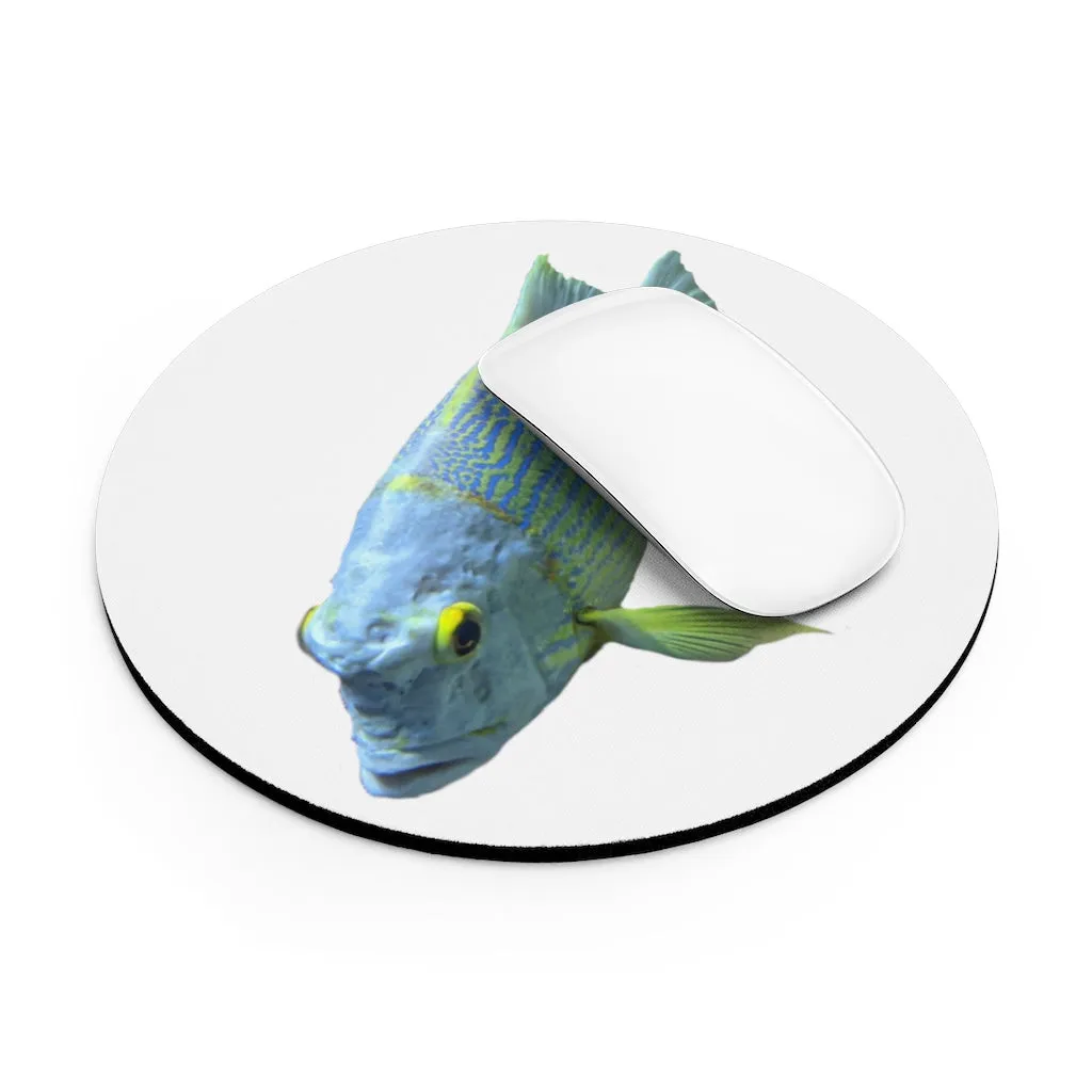 Light Blue Fish Mouse Pad