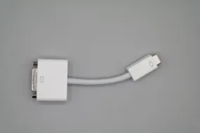 Mini DVI to DVI (Apple Display Adapter)