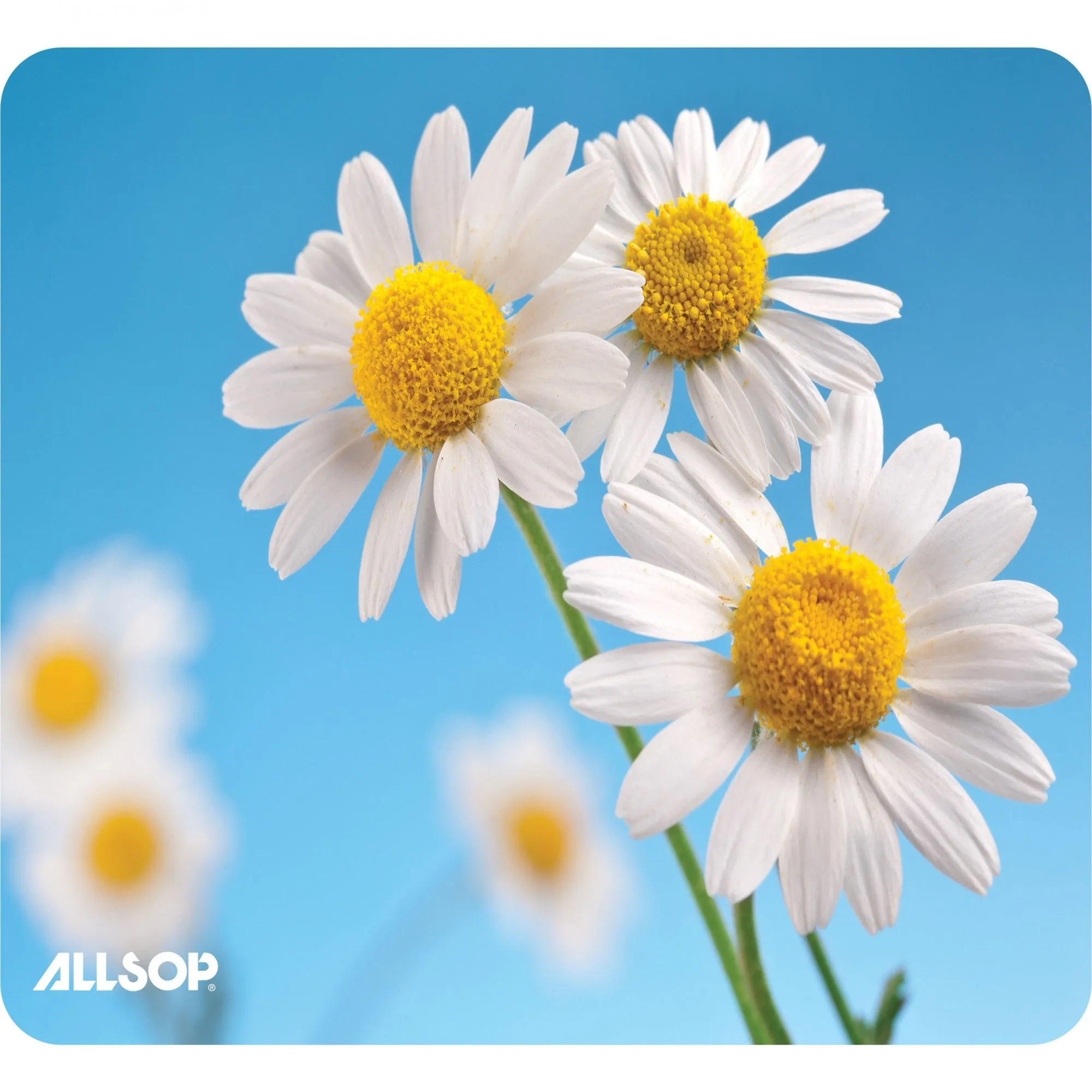 NatureSmart Image Mousepad - Daisy