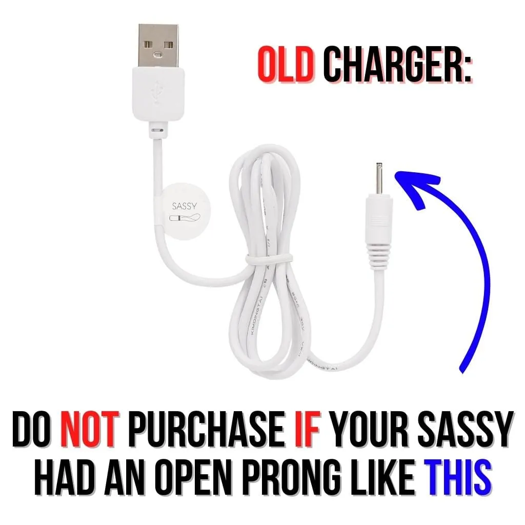 Pillow Talk Sassy Charging Cord