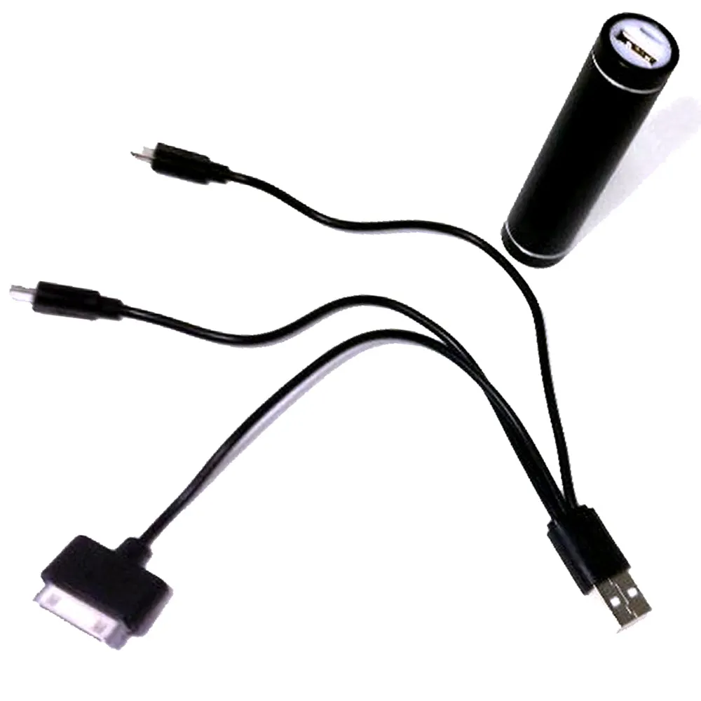 Power up Handy Emergency Smart Phone Charger