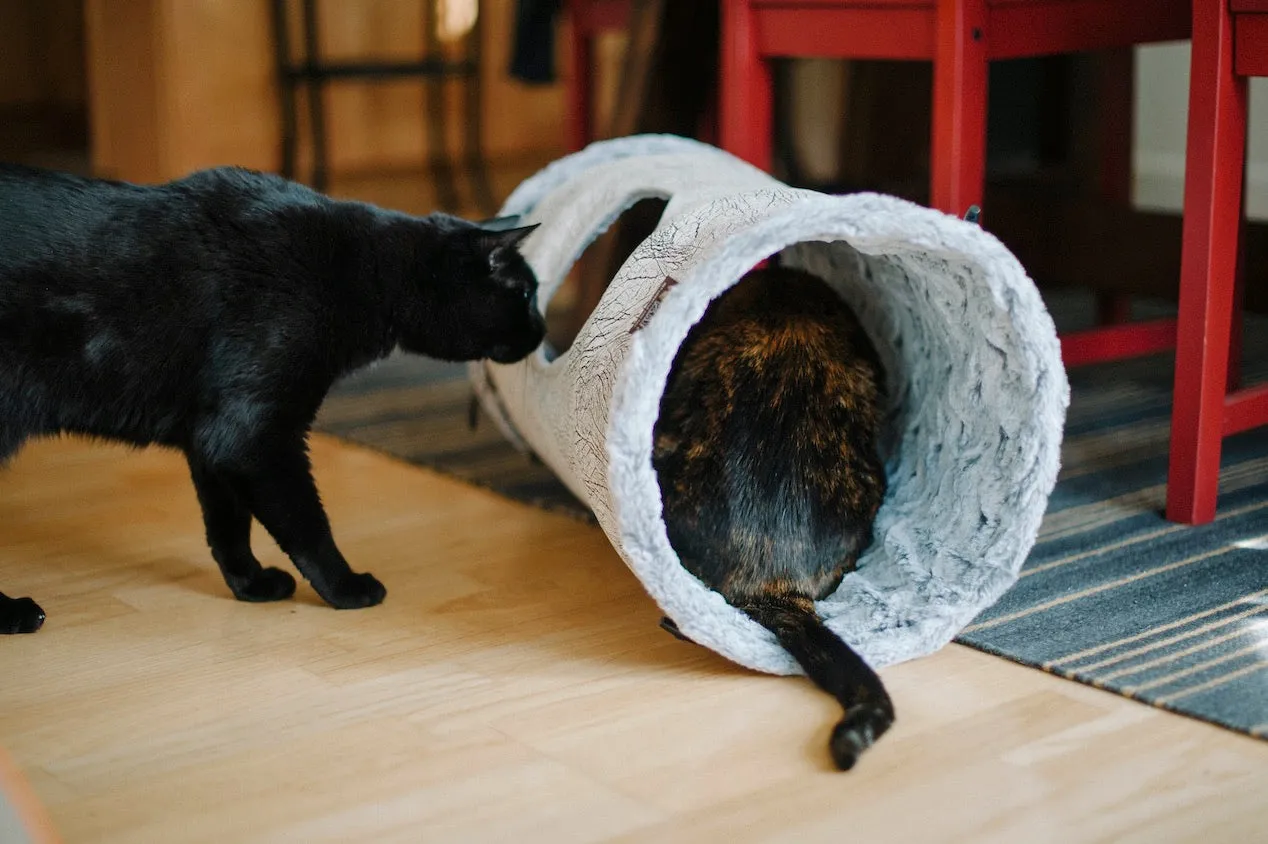 Purr & Pounce Cat Tunnel