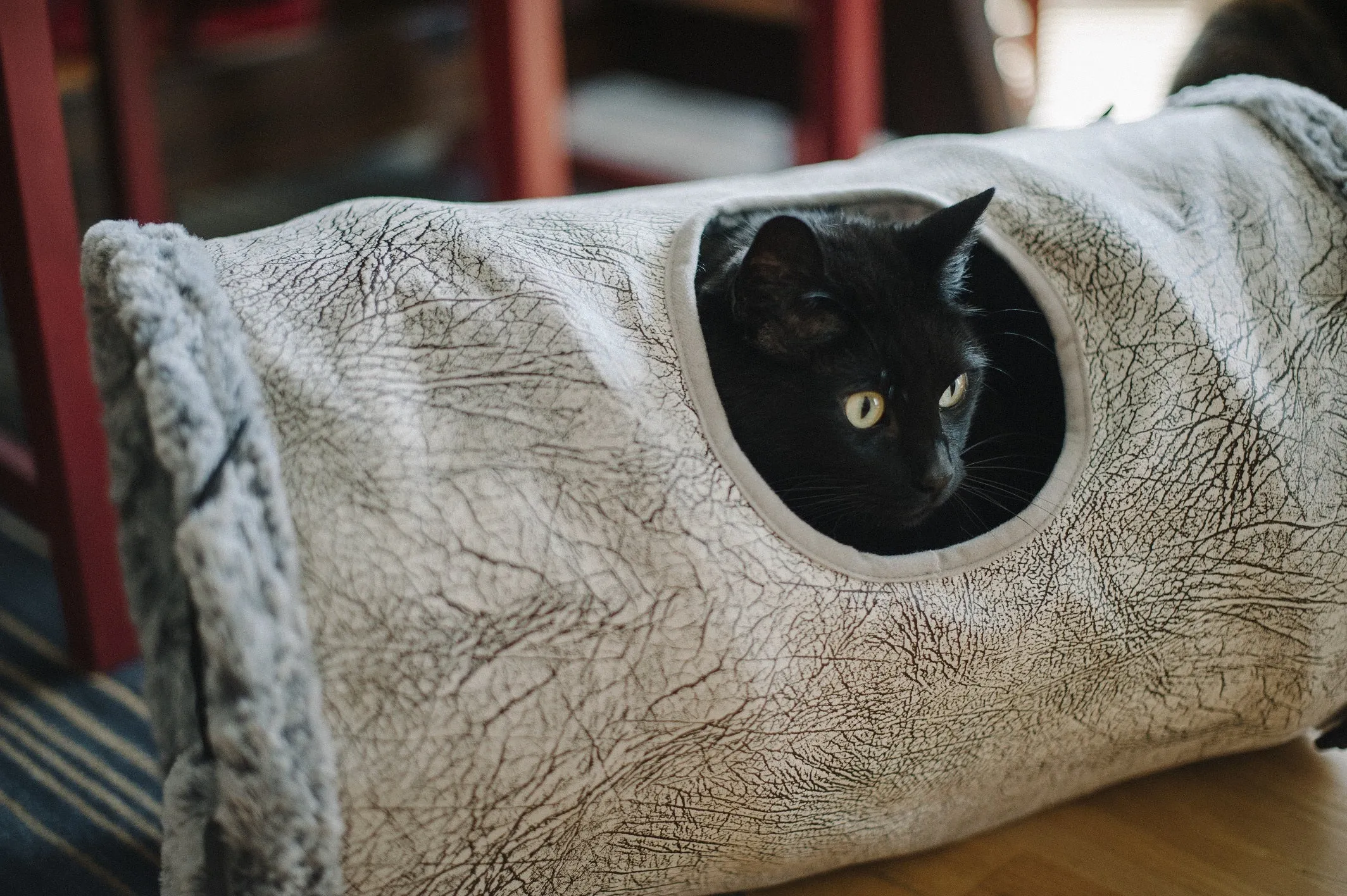 Purr & Pounce Cat Tunnel