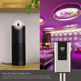 Smart WIFI RGB LED Strip Light Controller Controlled by Amazon Alexa & Google Home Womo Smart APP