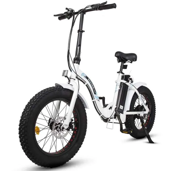 UL Certified-Ecotric 20inch Portable and folding fat bike model Dolphin