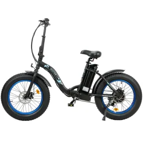 UL Certified-Ecotric 20inch Portable and folding fat bike model Dolphin