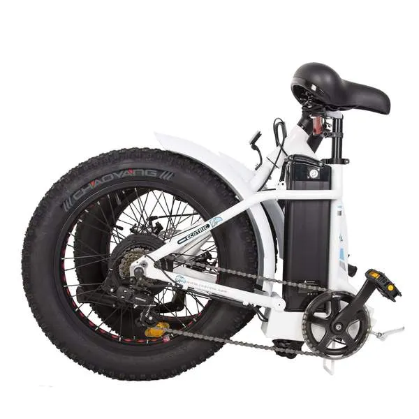 UL Certified-Ecotric 20inch Portable and folding fat bike model Dolphin