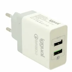 Wall Charger iggual IGG317389